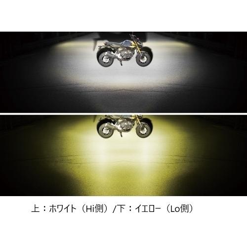 スペシャルパーツ武川 SP武川 SPタケガワ LEDフォグランプキット