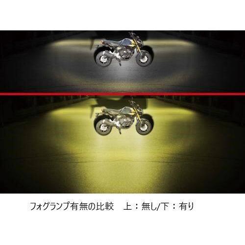 スペシャルパーツ武川 SP武川 SPタケガワ LEDフォグランプキット3.0