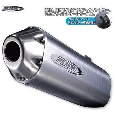 RSV アールエスブイ 4ストシリーズIIIサイレンサーアップタイプ