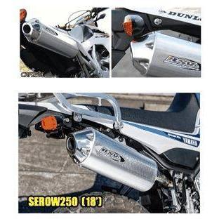 RSV アールエスブイ 4ストシリーズIIIサイレンサーアップタイプ