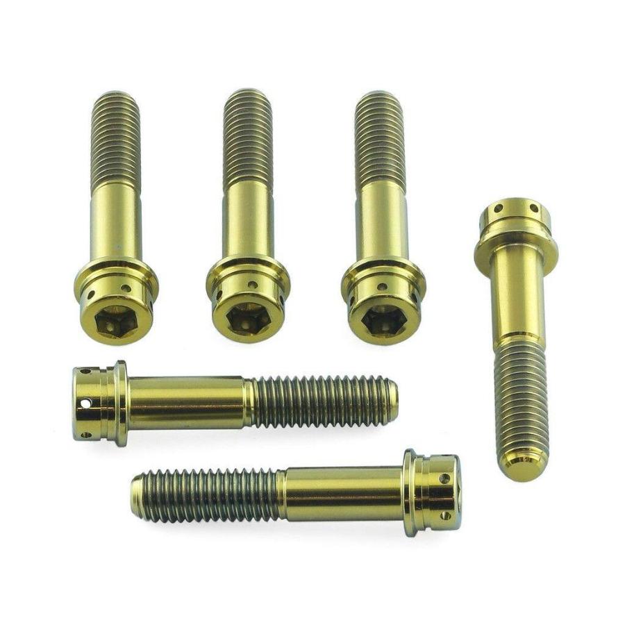 PRO BOLT プロボルト フロントキャリパーピンチボルトセット カラー：ゴールド S1000RR CBR1000RR Fireblade CBR600RR Z1000 SX ZX-6R Ninja GSX-R1000 | ブランド登録なし