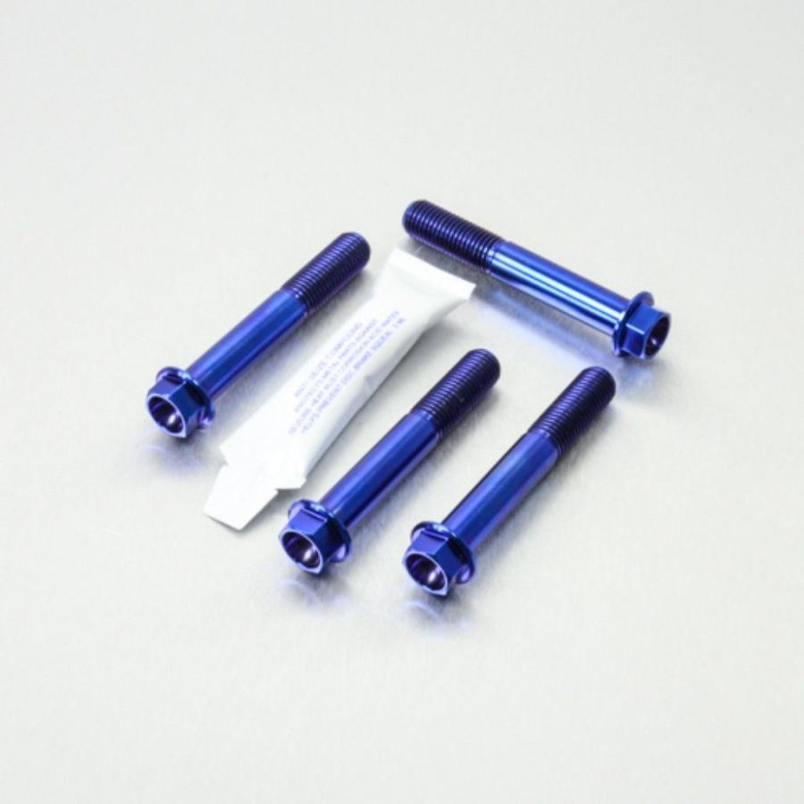 PRO BOLT プロボルト フロントブレーキキャリパーマウンティングボルト