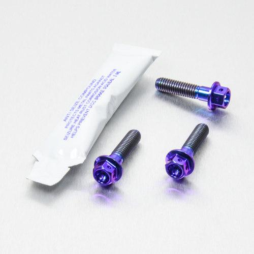 PRO BOLT プロボルト ブレーキ＆クラッチレバー パーチピンチ