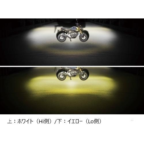 送料無料　ct125 ハンターカブ　フォグライト　SPタケガワ 楽天市場】SP武川 CT125ハンターカブ ［JA55］ LEDフォグランプキット
