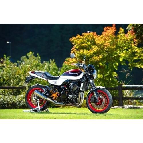 T-REV(寺本自動車商会) ティーレブ EZ-SHiFTER［イージーシフター］ Z900RS KAWASAKI カワサキ クイックシフター・オートシフター ステップ 足回りの画像