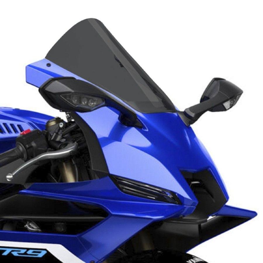Puig（プーチ） レーシングスクリーンR-RACER (R-RACER SCREEN) カラー 