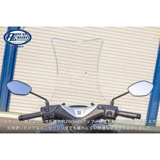 AERO GEAR エアロギア エアロロングスクリーン バーグマンストリート