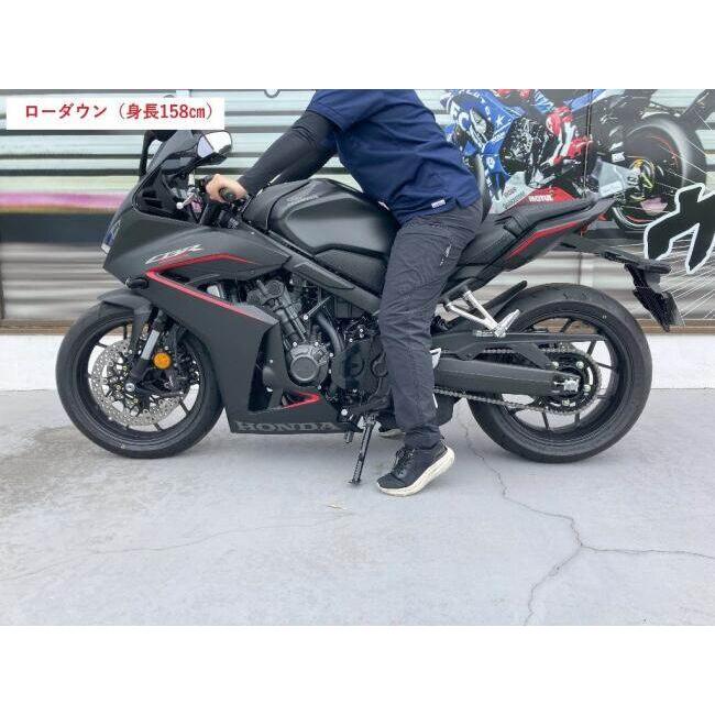 TSR テクニカルスポーツレーシング ローダウンエンドアイ CB650R