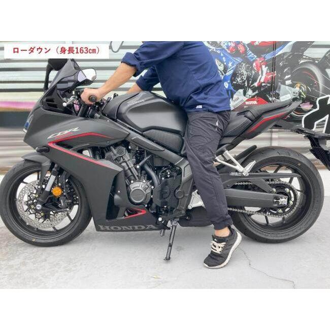 TSR テクニカルスポーツレーシング ローダウンエンドアイ CB650R