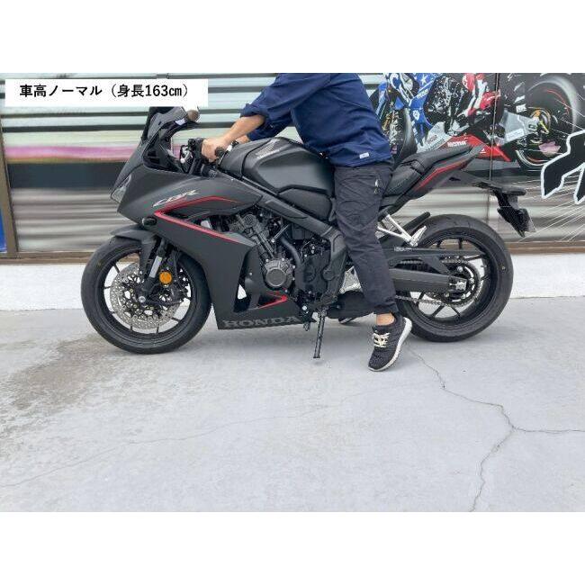 TSR テクニカルスポーツレーシング ローダウンエンドアイ CB650R