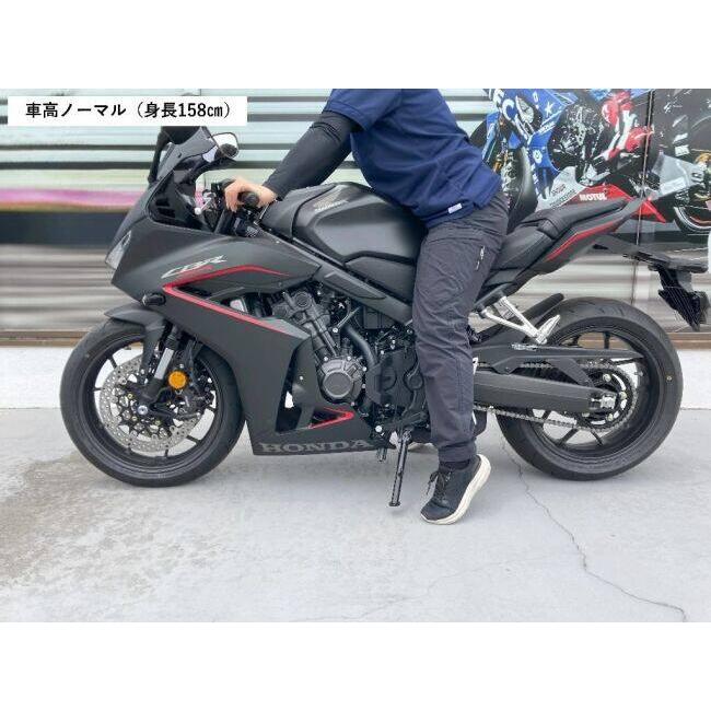 【新品未使用】TSR 車高ダウンセット ローダウンキット ショートスタンド付 TSR テクニカルスポーツレーシング 車高ダウンセット(エンドアイ＋