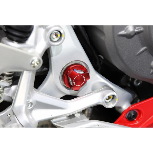 AELLA（アエラ） ピボットボルトカバー(PanigaleV2S '25-) カラー