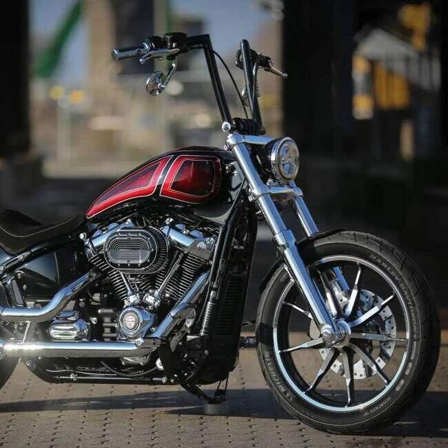 はと THUNDER BIKE サンダーバイク Flip 2 ハンドルバー カラー：ポリッシュ
