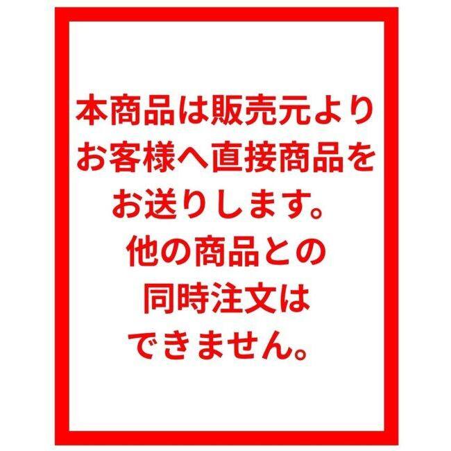 OGUshow オグショー 【メーカー直送品】200系ハイエース S-GL標準ボディ ESワンフリップベッド 200系ハイエース トランポ用品 | OGUshow | 01
