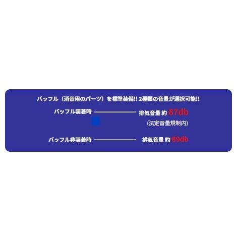 WirusWin（ウイルズウィン） ロイヤルマフラー 仕様：チタン / タイプ