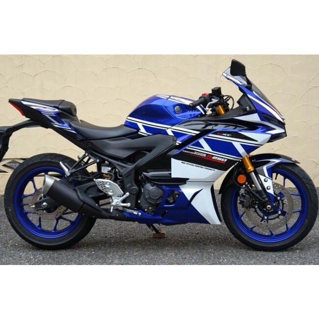 MDF（エムディーエフ） グラフィックキット ストロボモデル タイプ