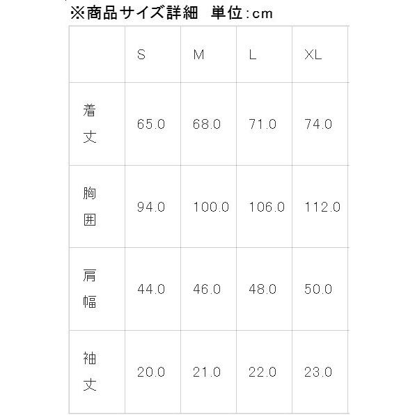 TSR テクニカルスポーツレーシング SUCCESSION SPORT T-SHIRT サイズ