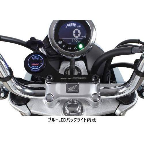 スペシャルパーツ武川 SP武川 SPタケガワ USBチャージャー(シガー