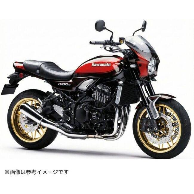 ワールドウォーク（WORLD WARK） World Walk ライン入り2色塗装ビキニ