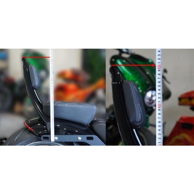 TRIJYA トライジャ 般若シーシーバー 純正フェンダー用 FXBRS FXBR
