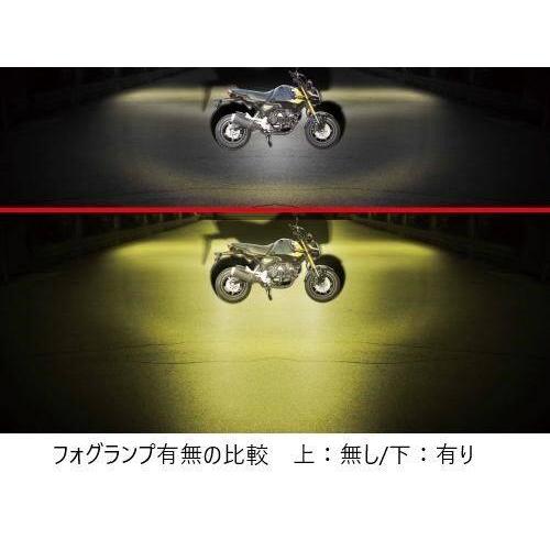 スペシャルパーツ武川 SP武川 SPタケガワ LEDフォグランプキット3.0
