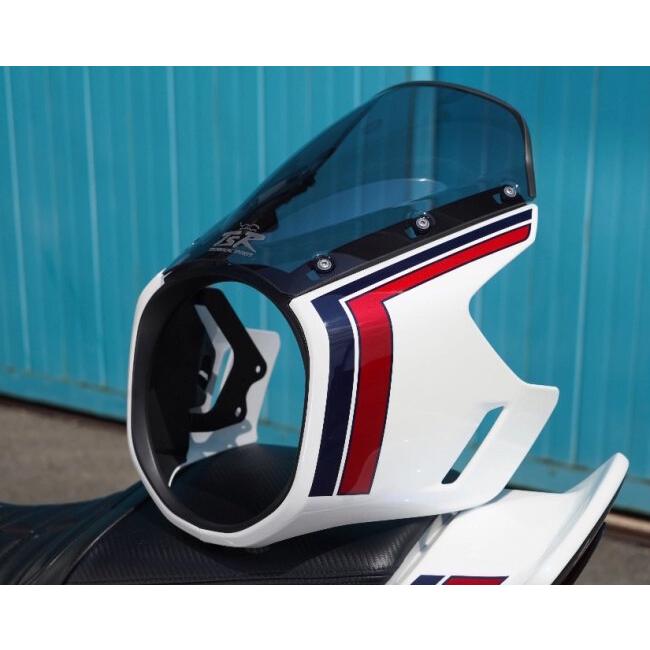 TSR テクニカルスポーツレーシング スクリーン カラー：スモーク