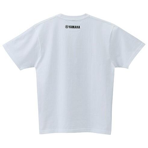 ワイズギア Y