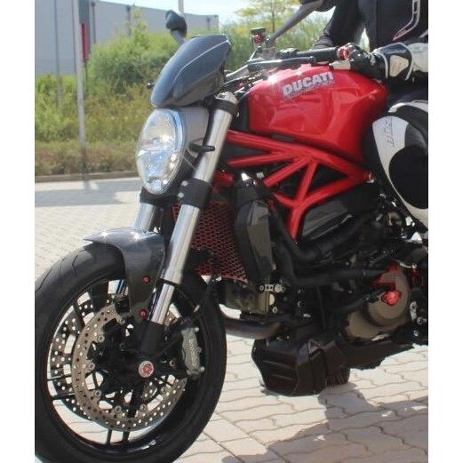 DUCABIKE (DBK) ドゥカバイク (ディービーケー) ラジエーター ガード カラー：ブラック DUCATI ドゥカティ ラジエーターコアガード・オイルクーラーコアガードの画像