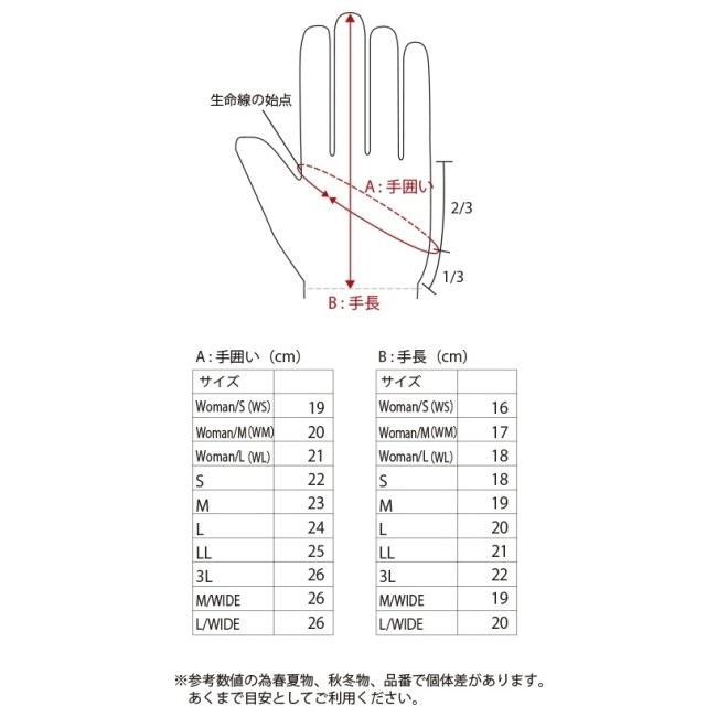 FLAGSHIP（フラッグシップ） ヴァイザーグローブ2 レディース サイズ