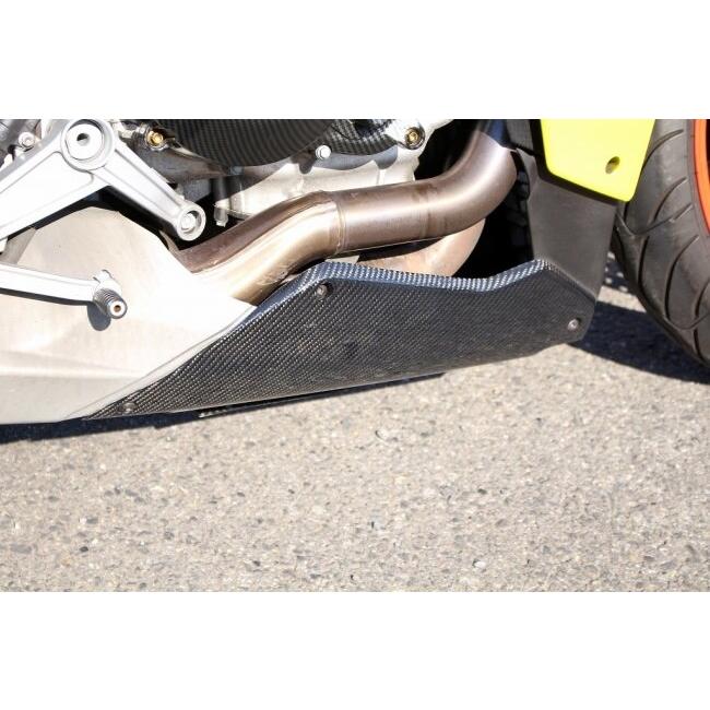 SPEEDRA スピードラ アンダーカウル ドライカーボン 仕様：綾織り艶消し RS660 APRILIA アプリリア カウル関連 外装_3