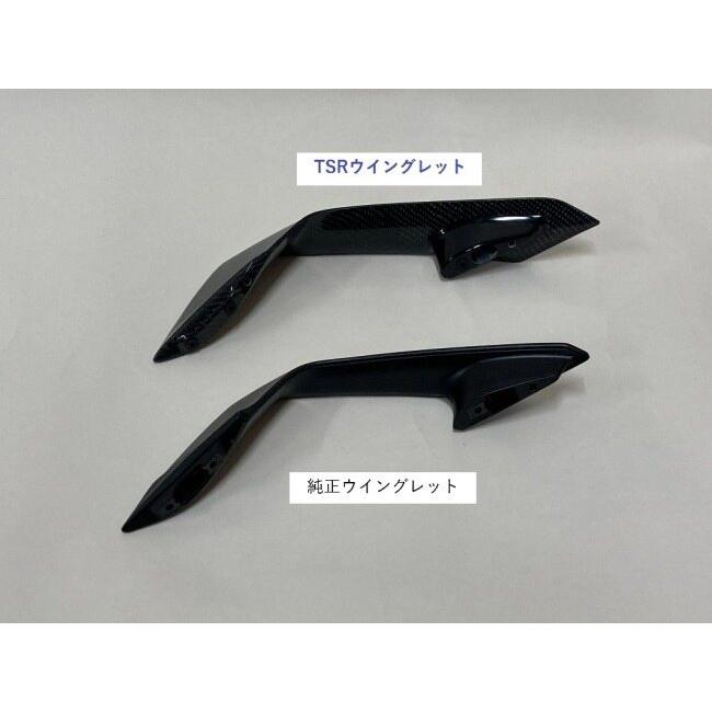 TSR テクニカルスポーツレーシング ウイングレット CBR1000RR-R SP