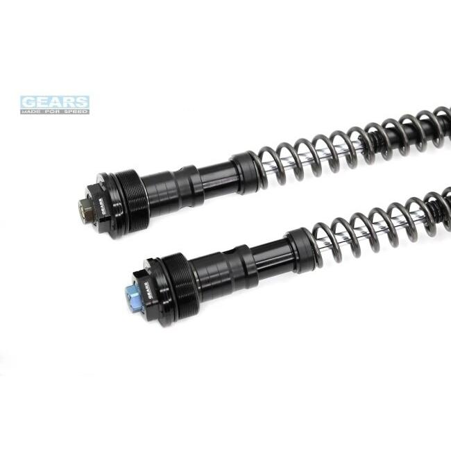 GEARS RACING ギアーズレーシング FFC-200-TT フロントフォークカートリッジ (倒立フォーク) SUPER SOCO TC-MAX (-21) スーパーソコ カートリッジキット 足回り | ブランド登録なし | 01