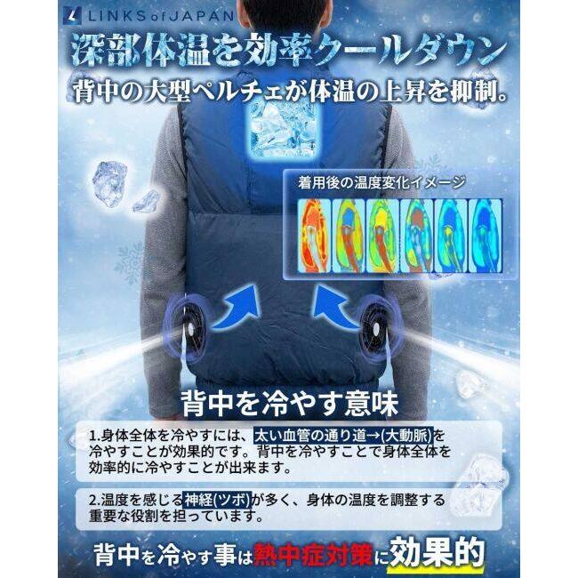 LINKS OF JAPAN リンクスオブジャパン 2026モデル 冷暖BODY サーモ
