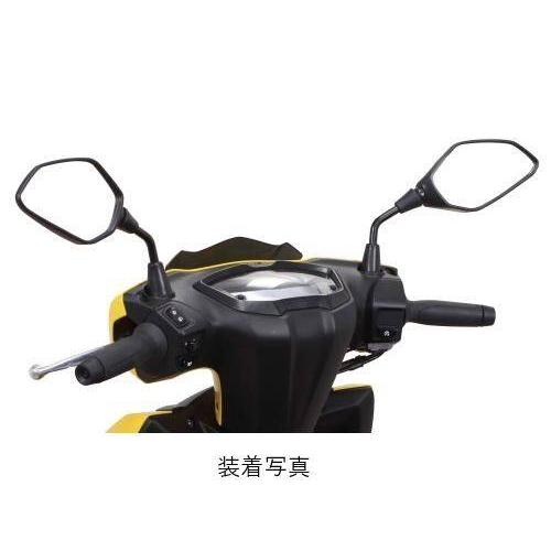 スペシャルパーツ武川 SP武川 SPタケガワ カーボニッシュポリゴン