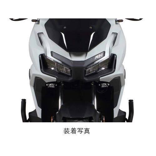 スペシャルパーツ武川 SP武川 SPタケガワ LEDスモールフォグランプ