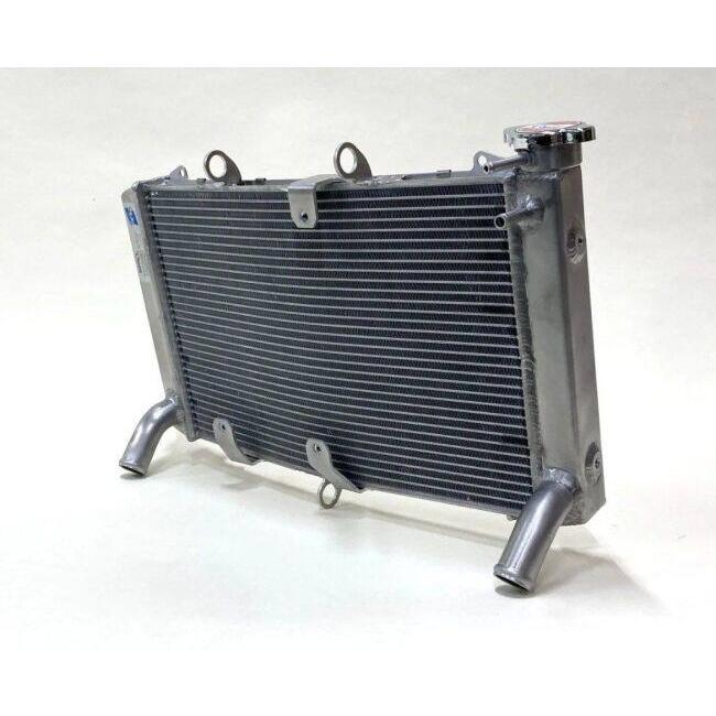 TSR テクニカルスポーツレーシング TSR×DEGREE RADIATOR カラー