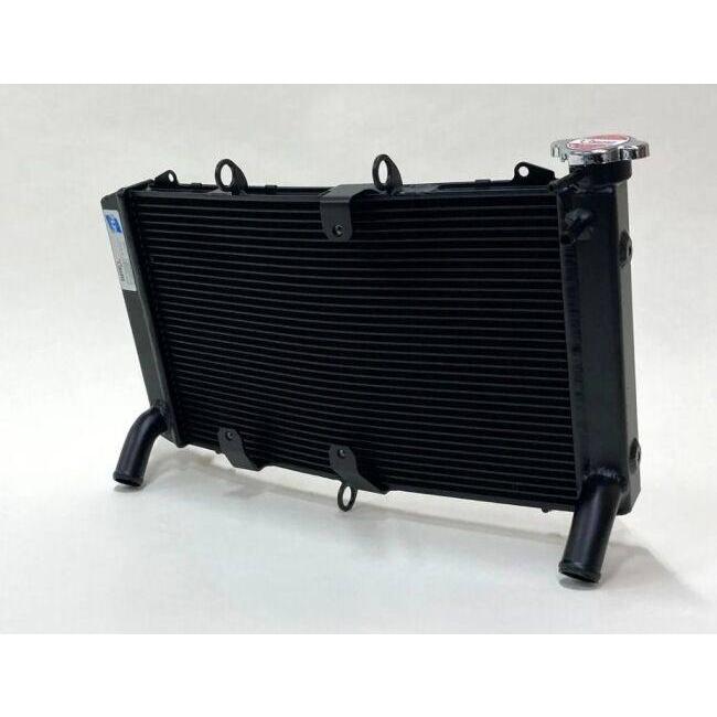 専用 TSR テクニカルスポーツレーシング TSR×DEGREE RADIATOR カラー
