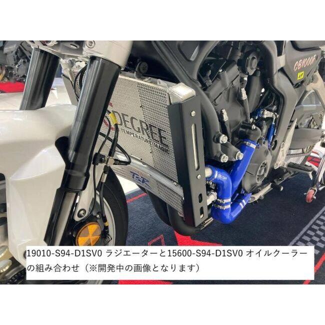 TSR テクニカルスポーツレーシング TSR×DEGREE RADIATOR カラー