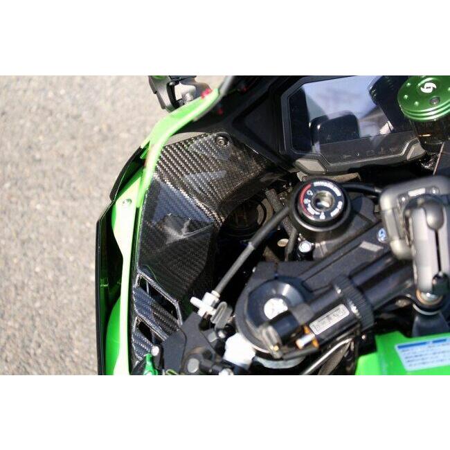 SPEEDRA スピードラ インナーサイドパネル タイプ：フォージドカーボン(艶あり) ZX-10RR ZX-10R KAWASAKI カワサキ サイドカウル・サイドカバー カウル関連の画像