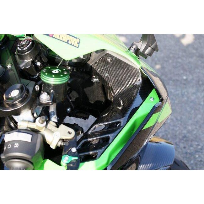 SPEEDRA スピードラ インナーサイドパネル タイプ：フォージドカーボン(艶消し) ZX-10RR ZX-10R KAWASAKI カワサキ サイドカウル・サイドカバー カウル関連の画像