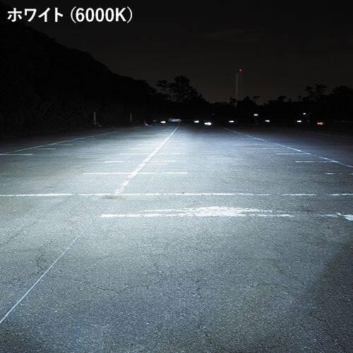 SPHERE LIGHT スフィアライト LEDヘッド/フォグライト RIZINGアルファ Pro H8/H9/H11/H16 6000K LEDヘッドライトバルブ 灯火類 電装系 | SPHERE LIGHT | 03