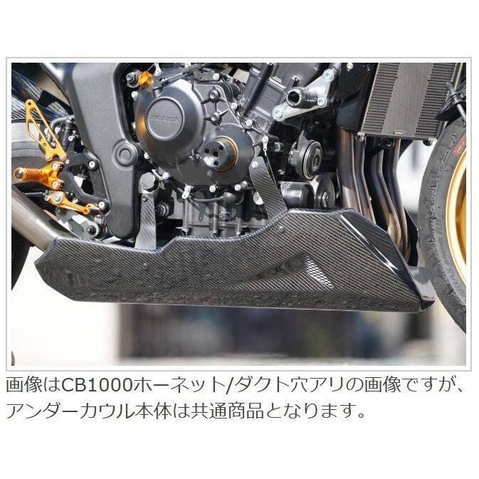EIGHT(才谷屋) エイト(サイタニヤ) アンダーカウル 社外ステップ用
