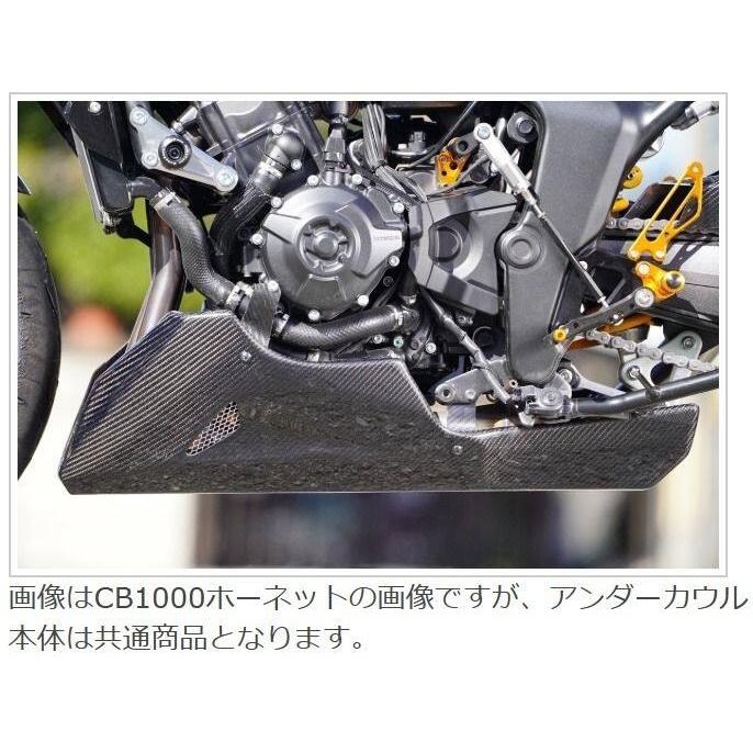 EIGHT(才谷屋) エイト(サイタニヤ) アンダーカウル 社外ステップ用