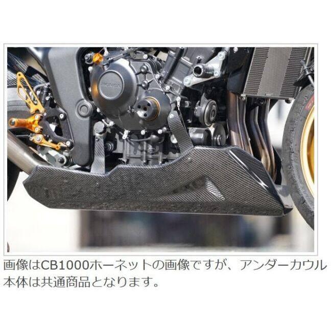 EIGHT(才谷屋) エイト(サイタニヤ) アンダーカウル 社外ステップ用