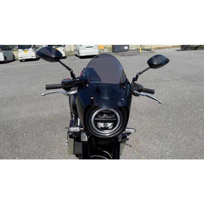 ACRY-Point アクリポイント スクリーン カラー：スモーク CB1000F HONDA ホンダ 外装 | ブランド登録なし | 02