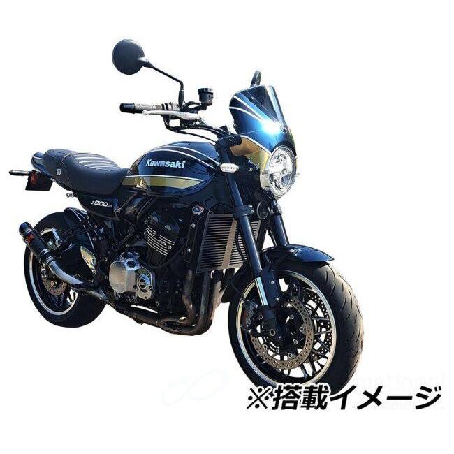 P&A International P&Aインターナショナル ヘッドライトフェアリング