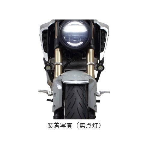 スペシャルパーツ武川 SP武川 SPタケガワ LEDフォグランプキット3.0 