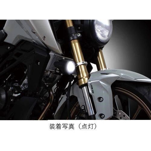 SP武川 SPタケガワ LEDフォグランプキット(カットライン/10W)(2個入