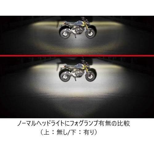 SP武川 SPタケガワ LEDフォグランプキット(カットライン/10W)(2個入