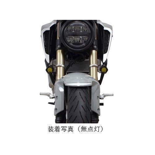 スペシャルパーツ武川 SP武川 SPタケガワ LEDフォグランプキット3.0